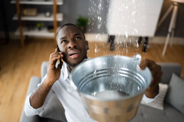 Best Water damage contractors near me  in North Bethesda, MD
