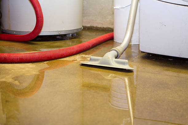 Best Water damage restoration company  in North Bethesda, MD