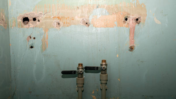 Best Water damage restoration experts  in North Bethesda, MD