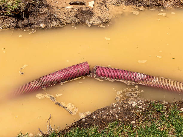 Best Basement water damage restoration  in North Bethesda, MD