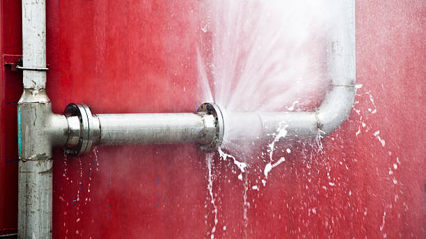 Best Mold removal after water damage  in North Bethesda, MD